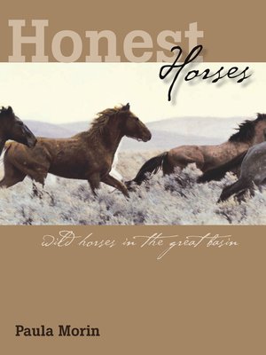 cover image of Honest Horses